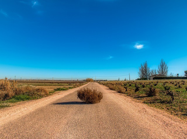 deserted road with tumbleweed